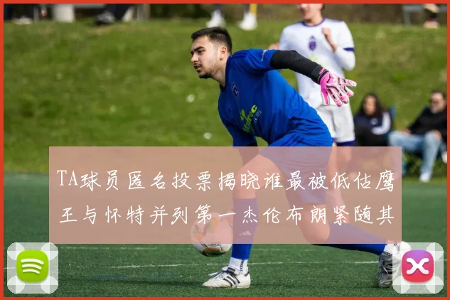 TA球员匿名投票揭晓谁最被低估鹰王与怀特并列第一杰伦布朗紧随其后